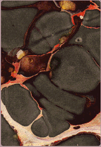 fein griechisch Marmor